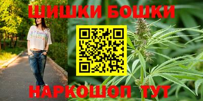шишки Дубна