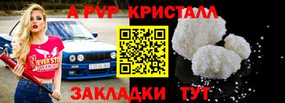 шишки Дубна