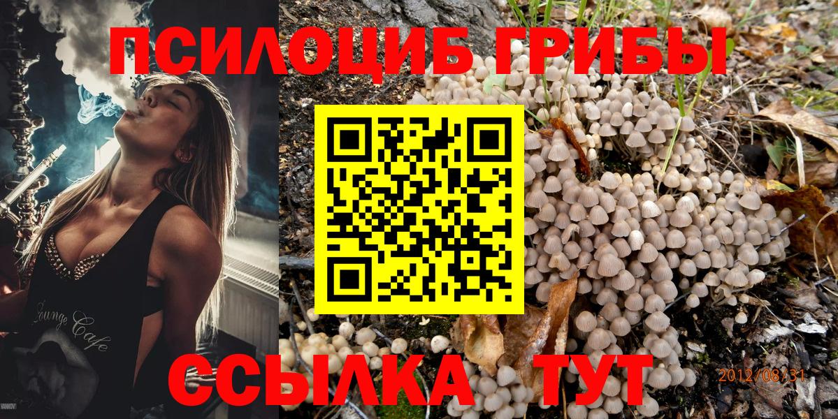 Галлюциногенные грибы ЛСД  купить   Вольск  Псилоцибиновые грибы GOLDEN TEACHER  Вход с VPN 